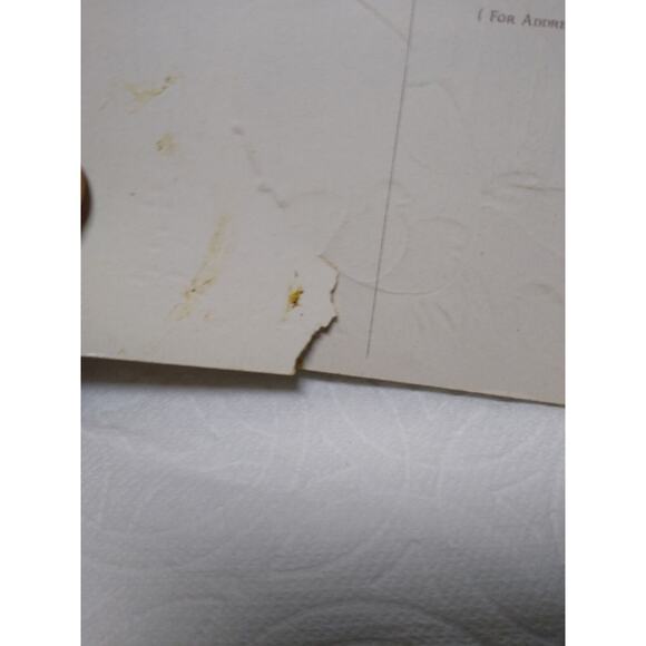 Tucks Easter Greetings Postcard Baby Chicks Hen Fence Series 111 Embossed TEARS - Picture 3 of 3